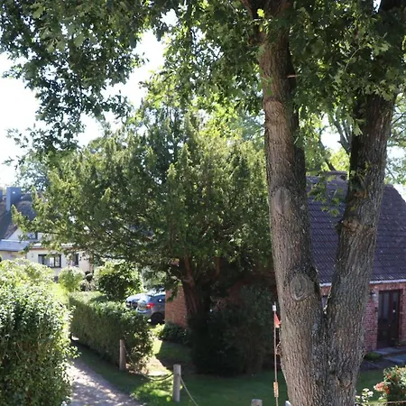 公寓 Guener Winkel Gruener Winkel, App 02