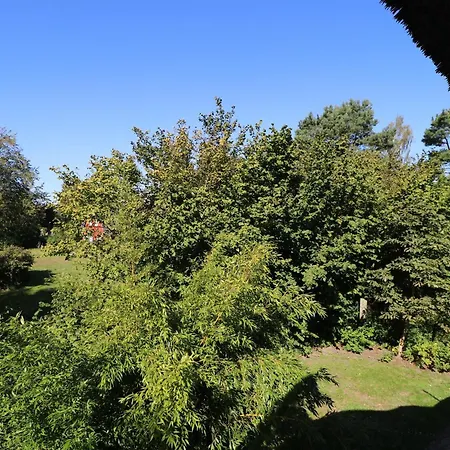 公寓 Guener Winkel Gruener Winkel, App 02 *